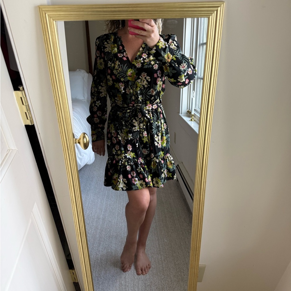 Walter Baker Dress